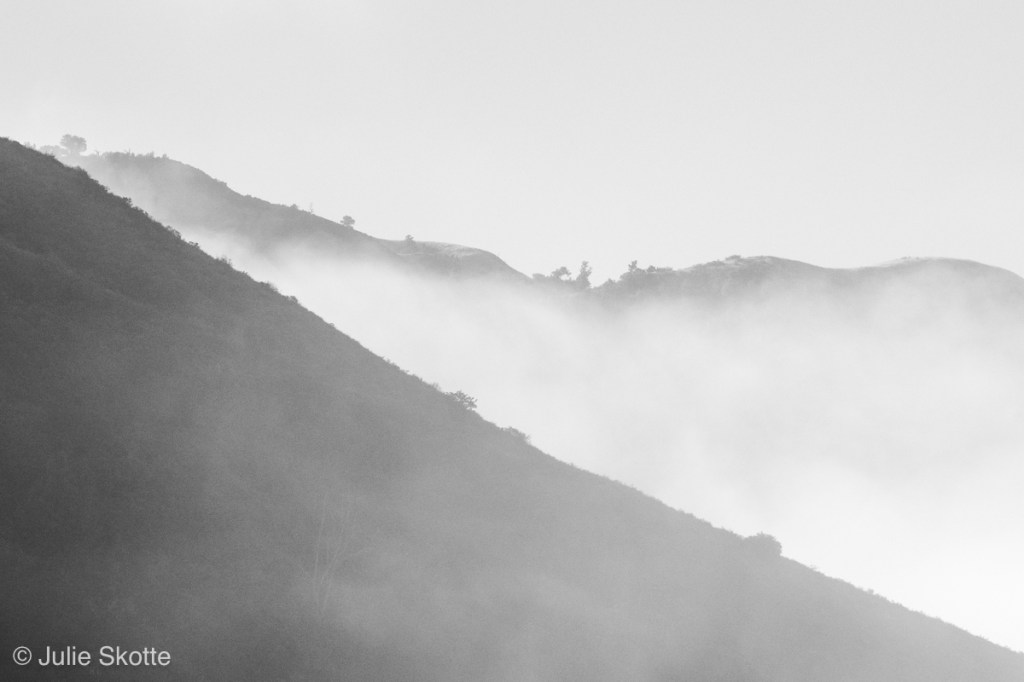 Udsigt fra Pfeiffer Big Sur State Park, California, USA.