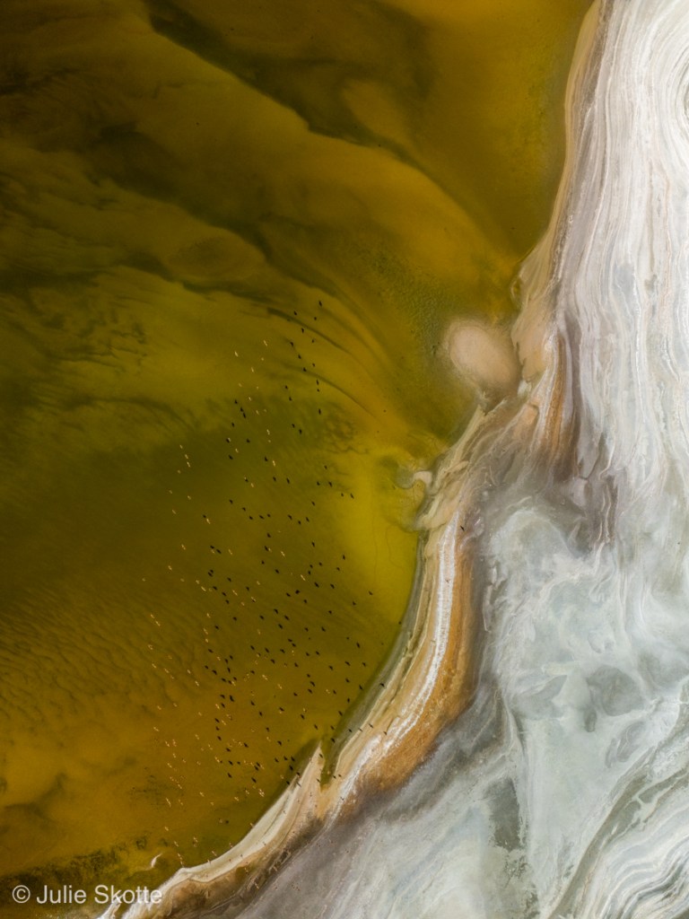 Drone foto Owens Lake i California. Fugle og skyffer fra fugle ses nede over søen.