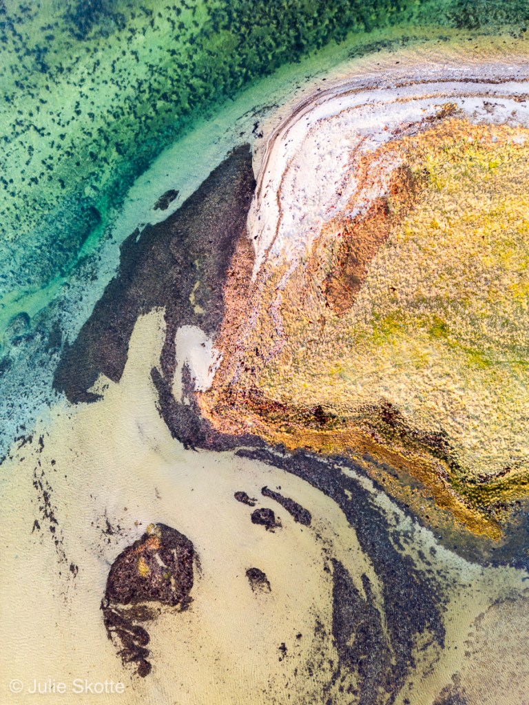 Strandeng ved danske kyster by Julie Skotte