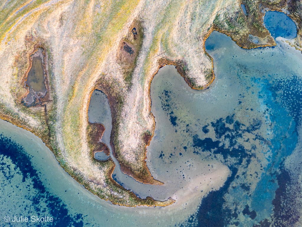 Strandeng ved danske kyster by Julie Skotte