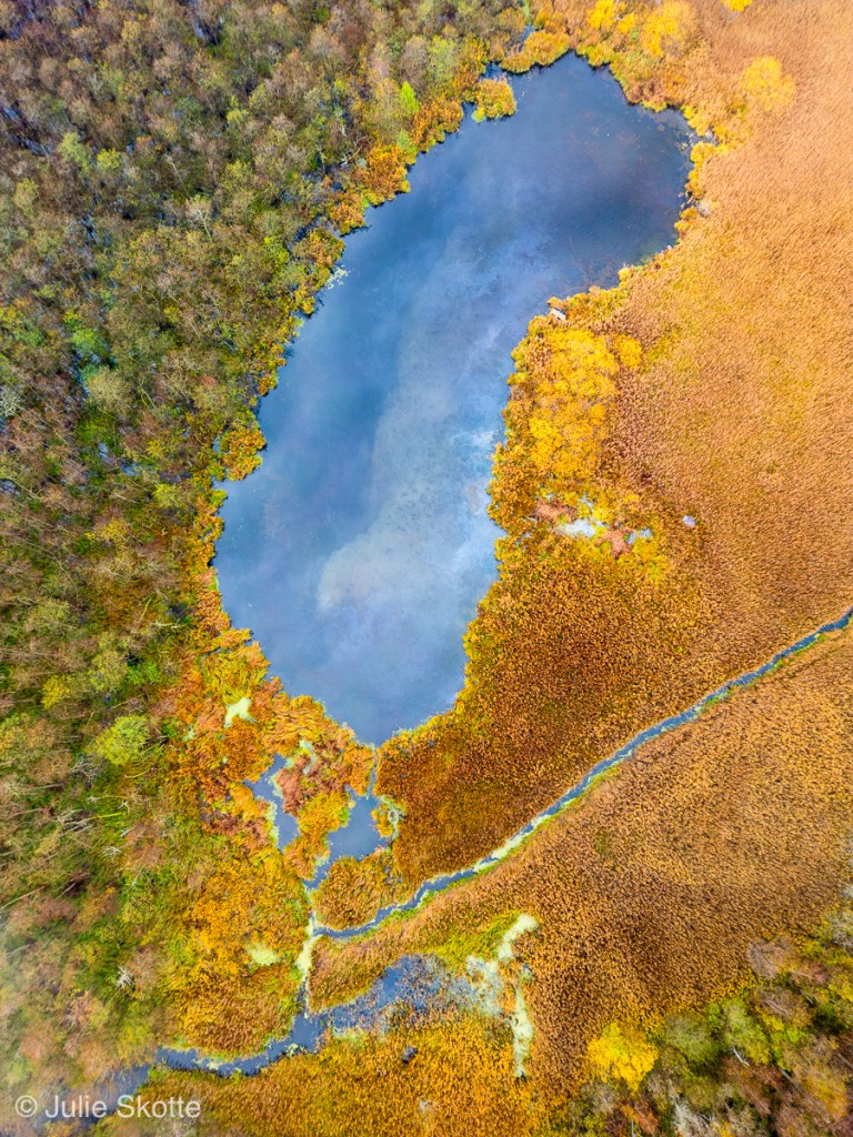 Drone billede af landskabet og efterårsfarverne omkring Farum sø, Danmark.