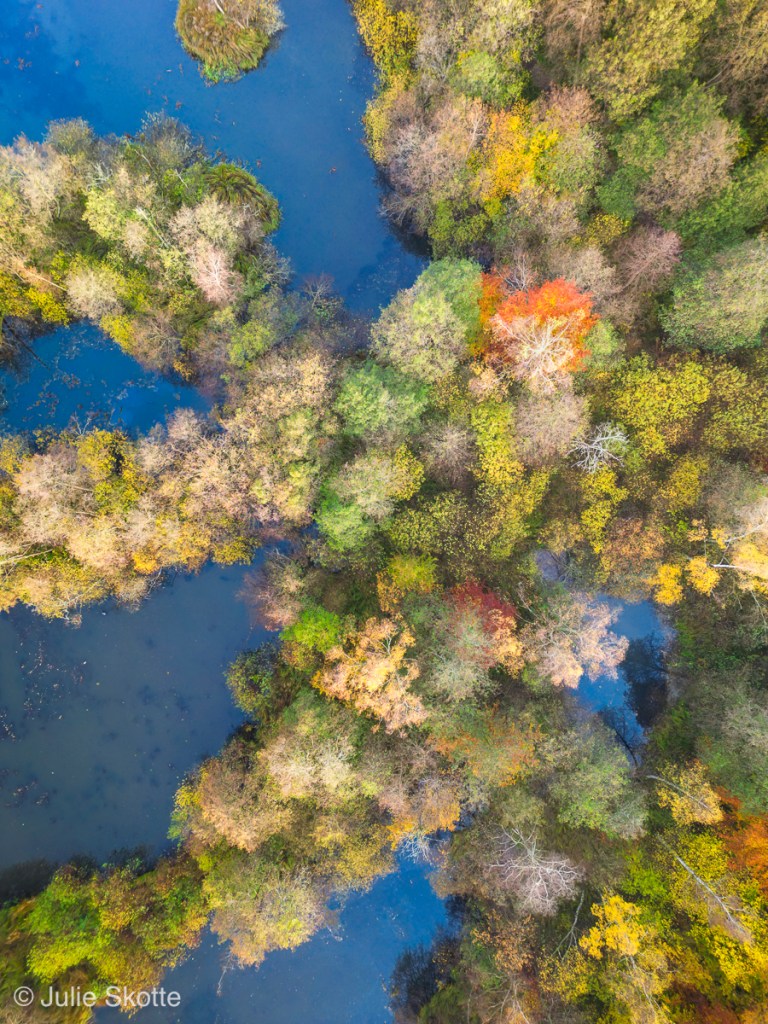 Drone foto over en efterårskov og blå skovsøer.