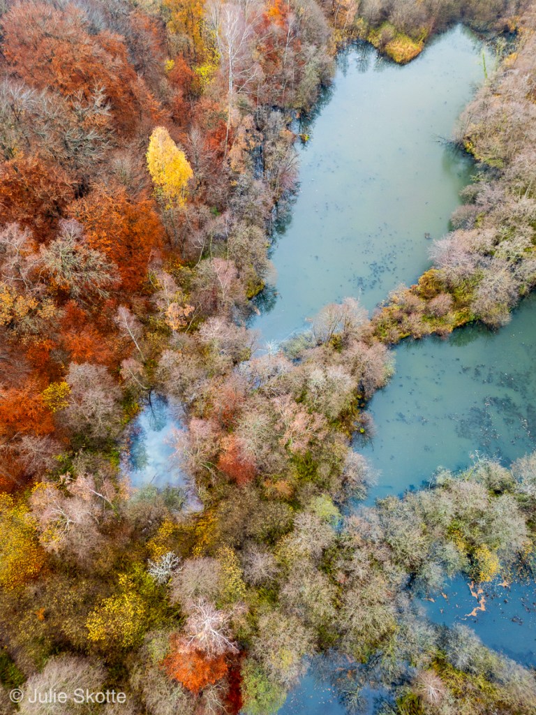 Drone foto over en efterårskov og blå skovsøer.