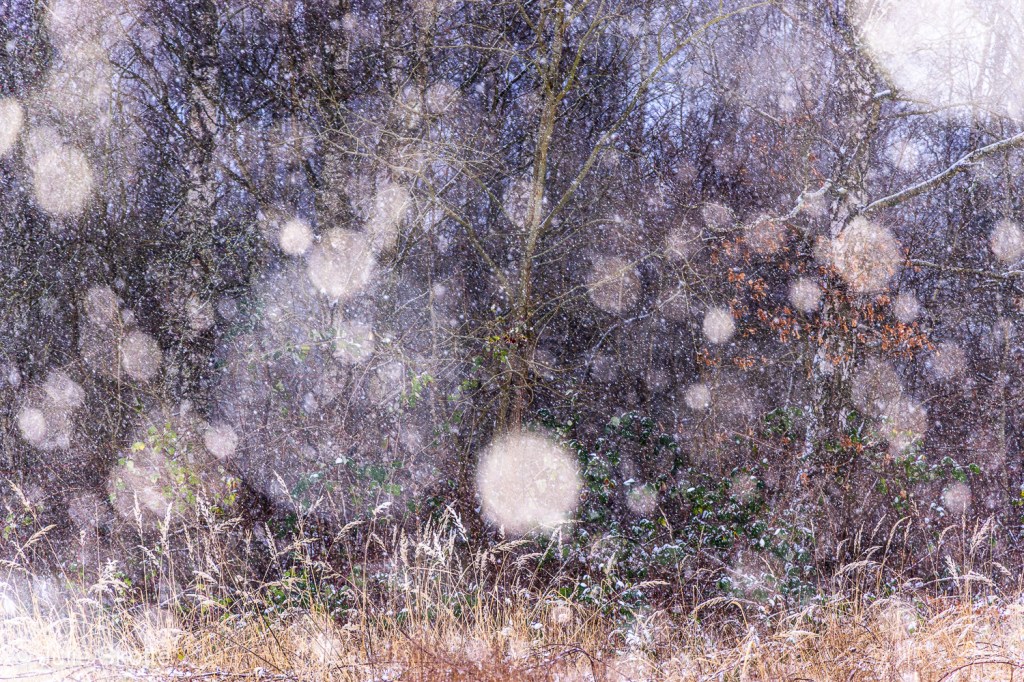 Snevejr i Danmark, næsten abstrakt foto med sne blops der lyser op.