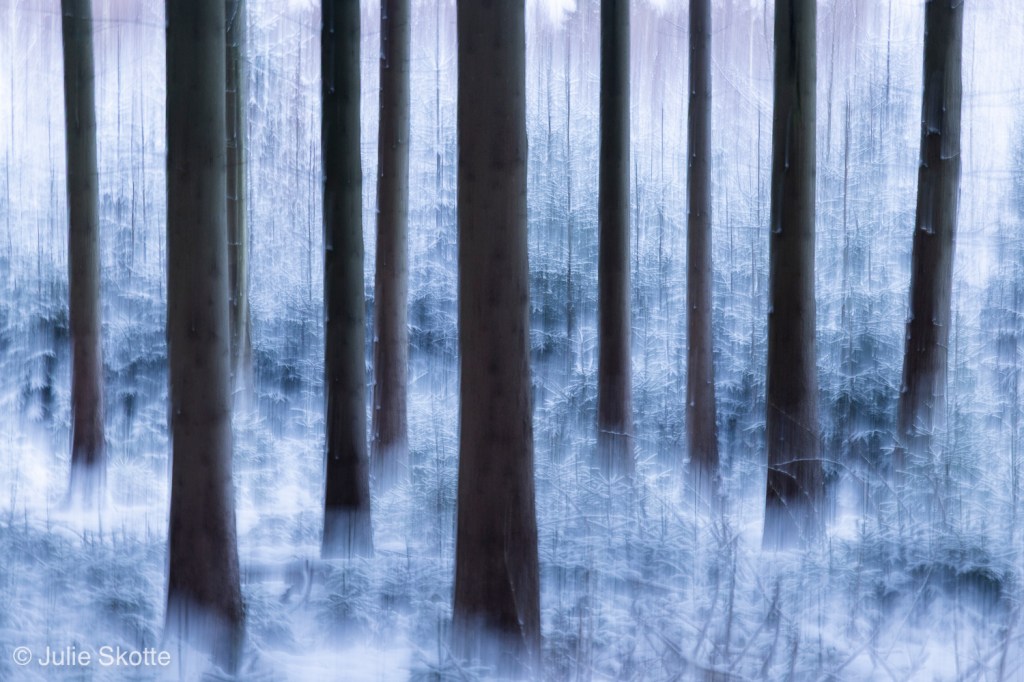 ICM foto af en snedækket vinterskov i Danmark.