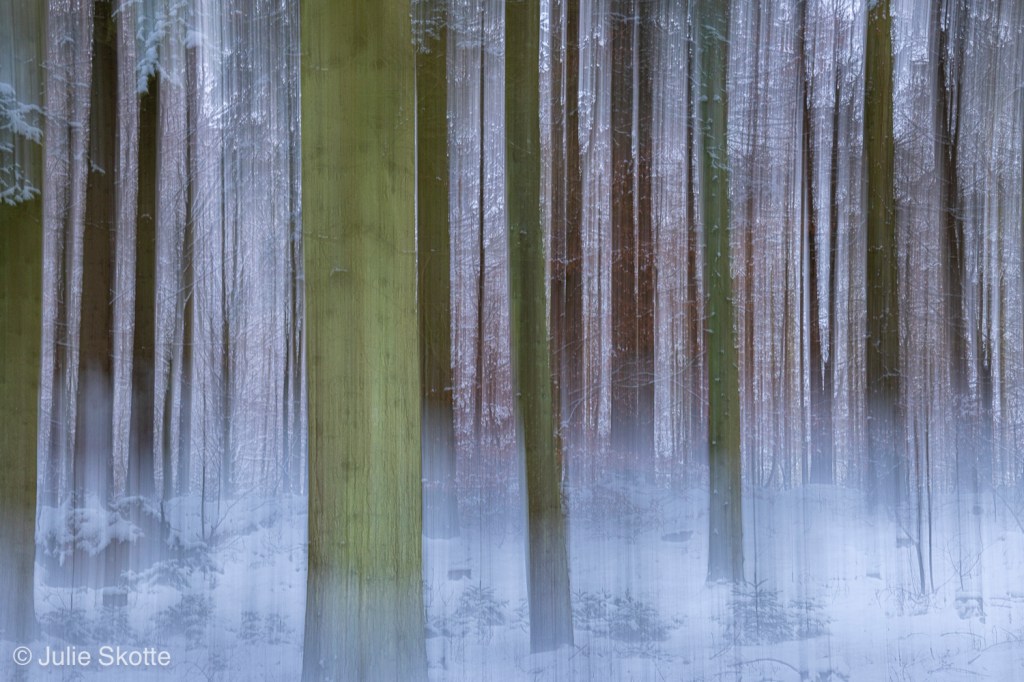 ICM foto af en snedækket vinterskov i Danmark.