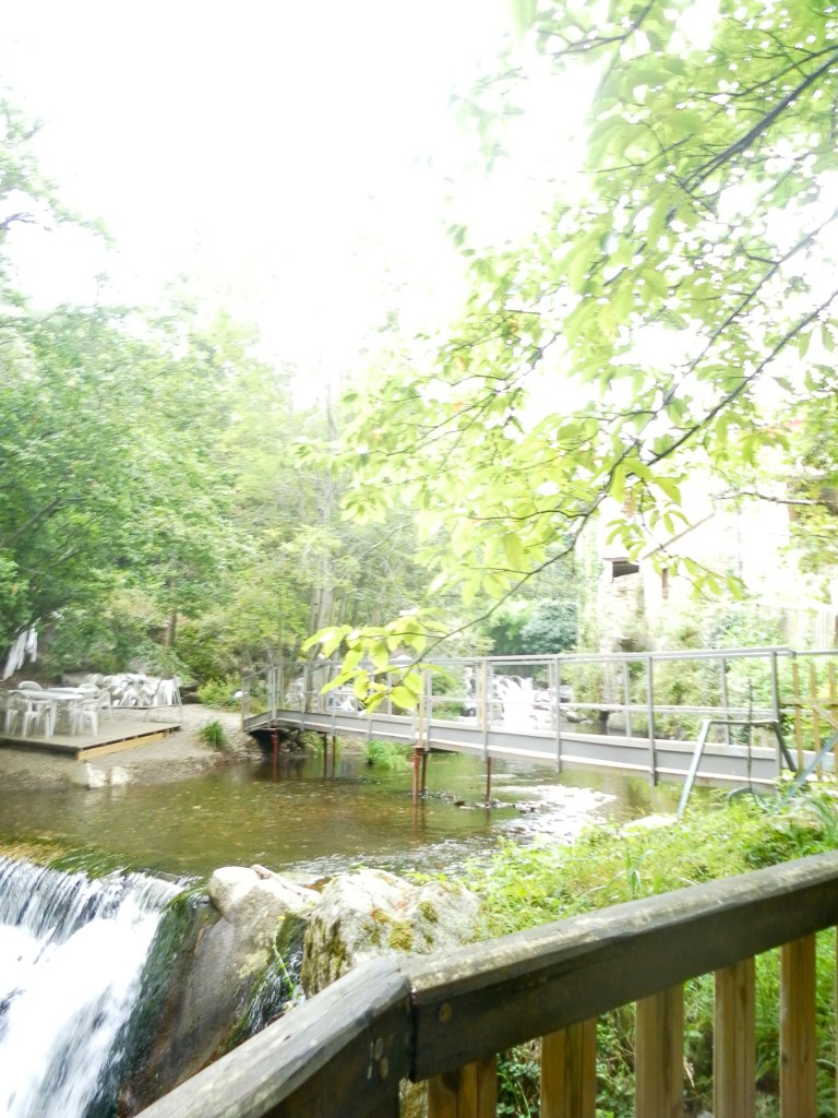SAMSUNG DIGITAL CAMERA