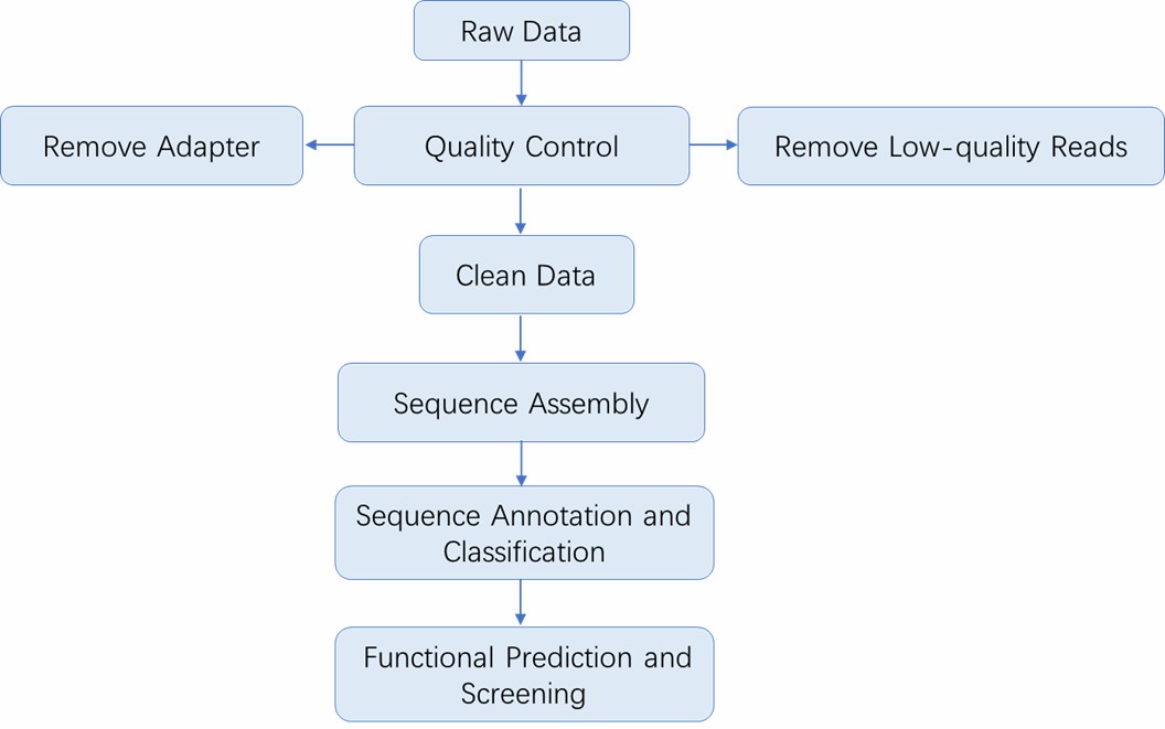 The Data Analysis Pipeline of Phage Display Library Screening.