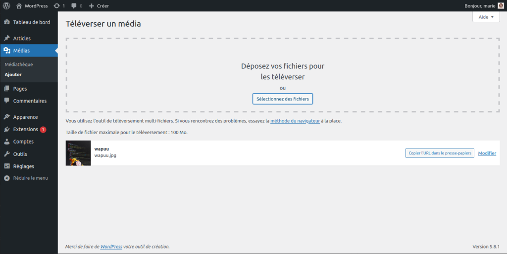 Capture d'écran Téléverser un média