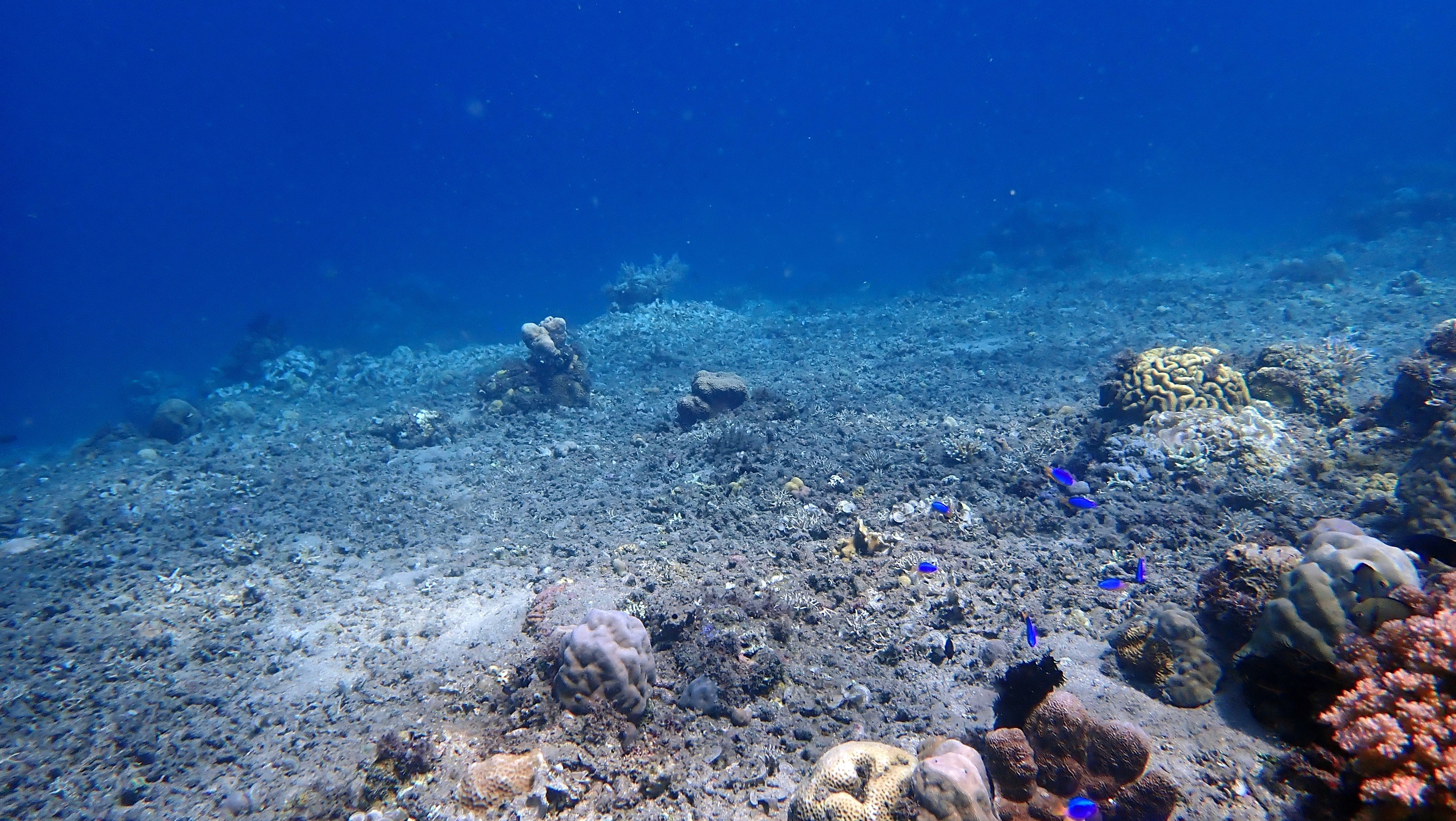 Europe's climate window narrowing, EEA warns