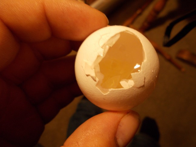 Eggshell