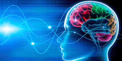 neuroplasticity