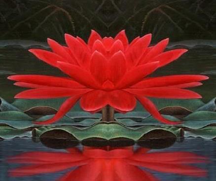 lotus1