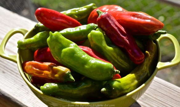Raw Shishito Peppers