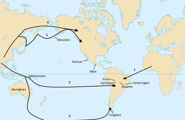 Population Y