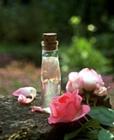 rosevinegar