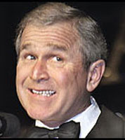 Bush Dumb