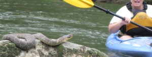 Snake & April A snake elicits a reaction from April Ingle.