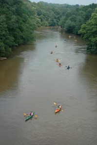 Wildcat Bridge_A