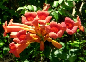 P1000998