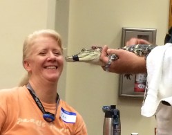 alligator kiss