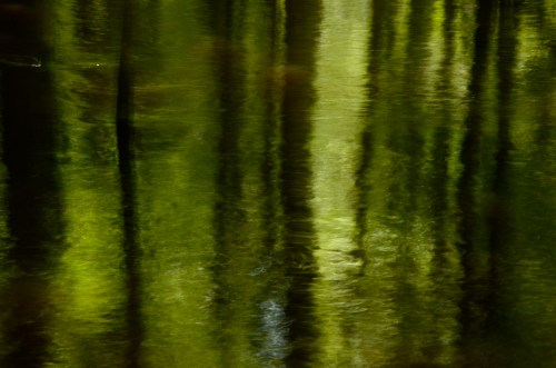 The Ogeechee is an enchanting place where the line between land and water is often blurred.