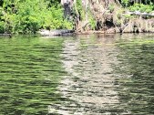 IMG_1121n