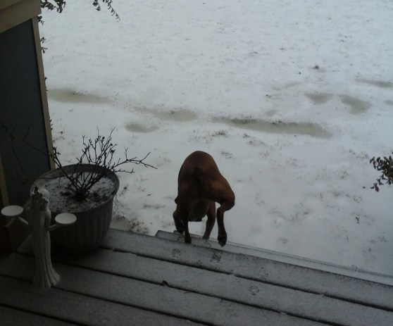 Leaving porch! image