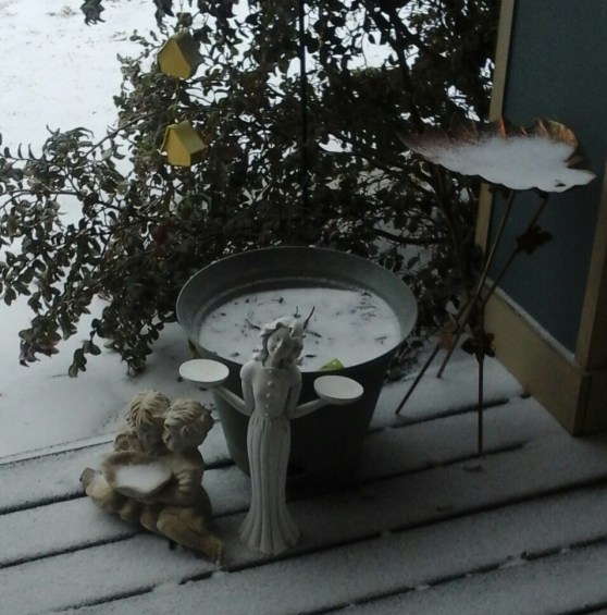 lonely Bird feeders image