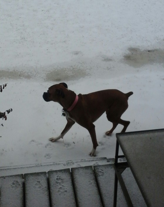 Looking Maggie image