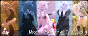 Miqo'te inspired Poses