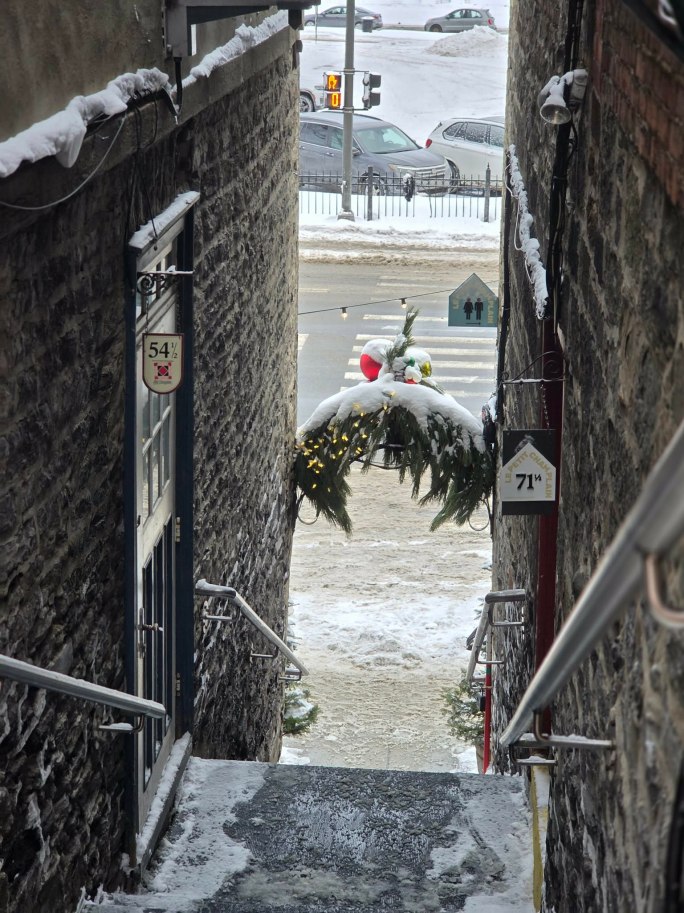In this week’s photo we’re on a landing looking down a flight of stairs between two brick walls. At the bottom of the steps is a sidewalk, a street and beyond that a parking lot with cars. It’s snowing and between the walls an evergreen Christmas oranamet topped with snow.