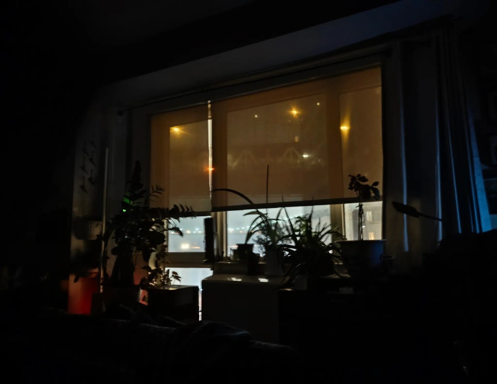 The photo is a view out a window at dusk. Outside lights are seen through the drawn blinds. House plants are seen in silhouette. One can almost make out a building and water through the window. To the right are blue drapes.