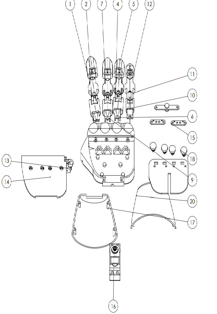 Prosthetic Hand Schematic