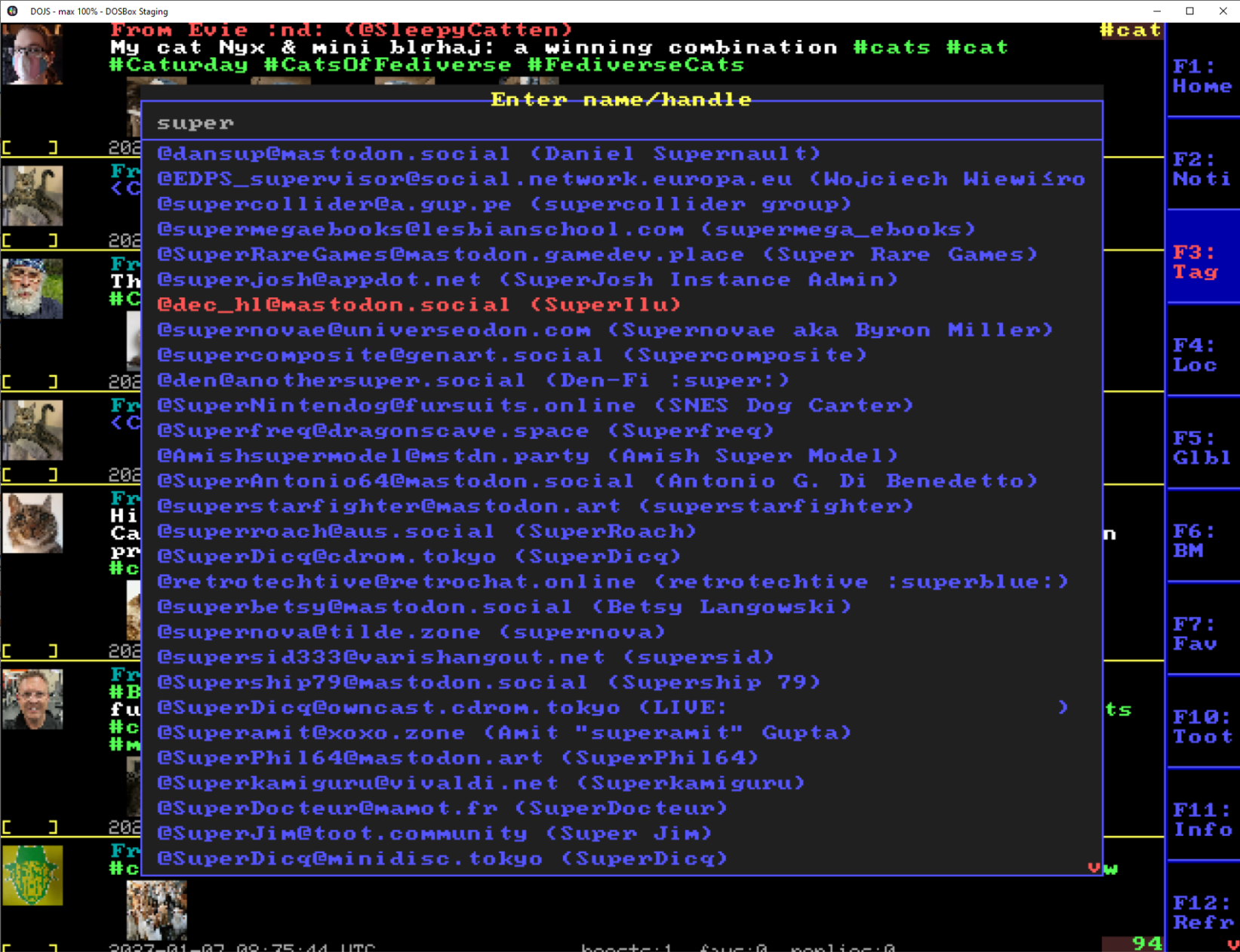 DOStodon find user