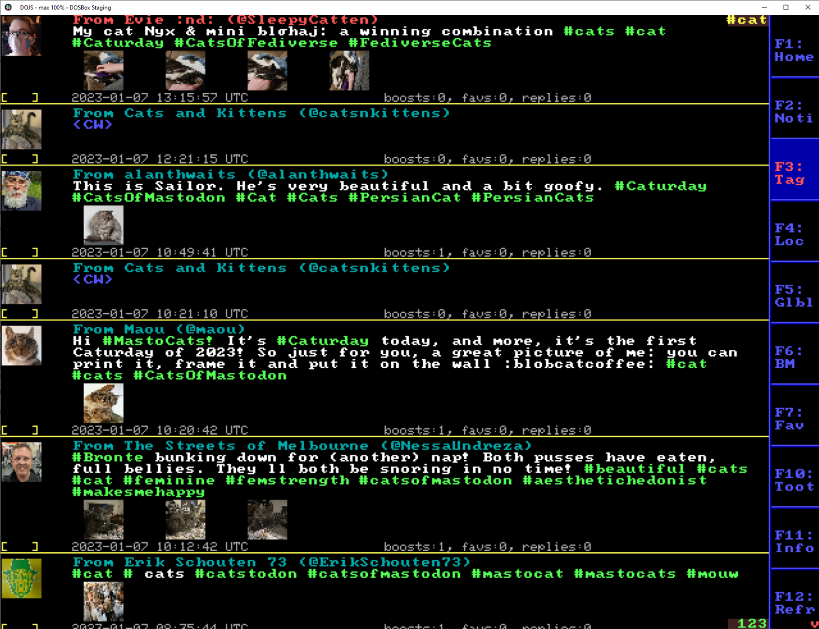 DOStodon timeline