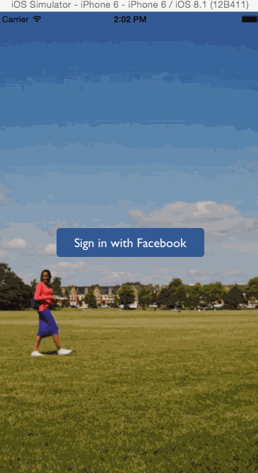 Demo gif