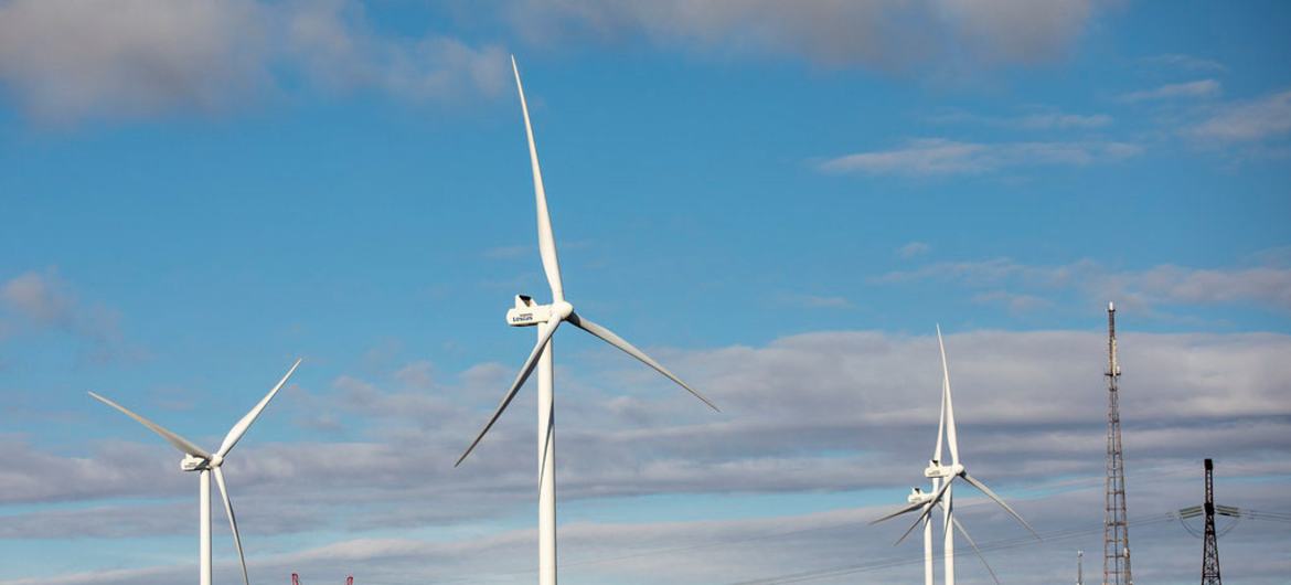 © UNDP Georgia Increasing investments in solar, wind power, hydropower and biomass will be essential to reducing global reliance on coal and oil. © UNDP Georgia Increasing investments in solar, wind power, hydropower and biomass will be essential to reducing global reliance on coal and oil.