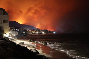 Um incêndio florestal queima no subúrbio de Palisades, em Los Angeles, Califórnia