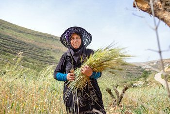 A resiliência dos sistemas agroalimentares é crítica para a segurança alimentar