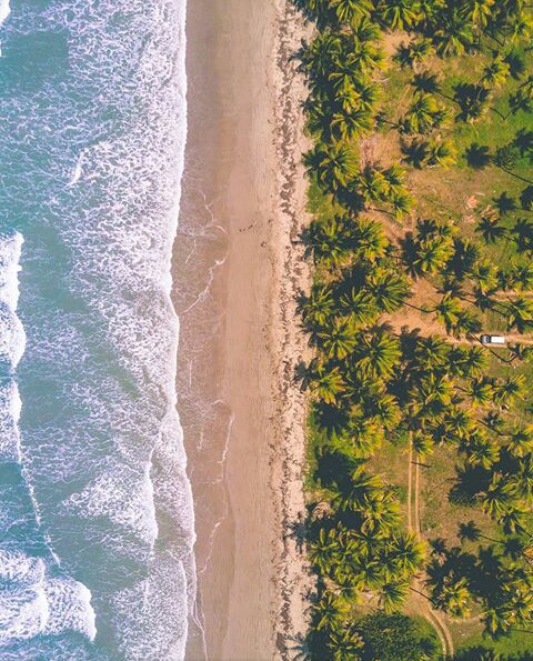mayaro road trinidad