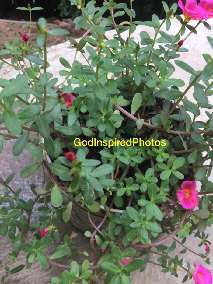 IMG-20191210-WA0016