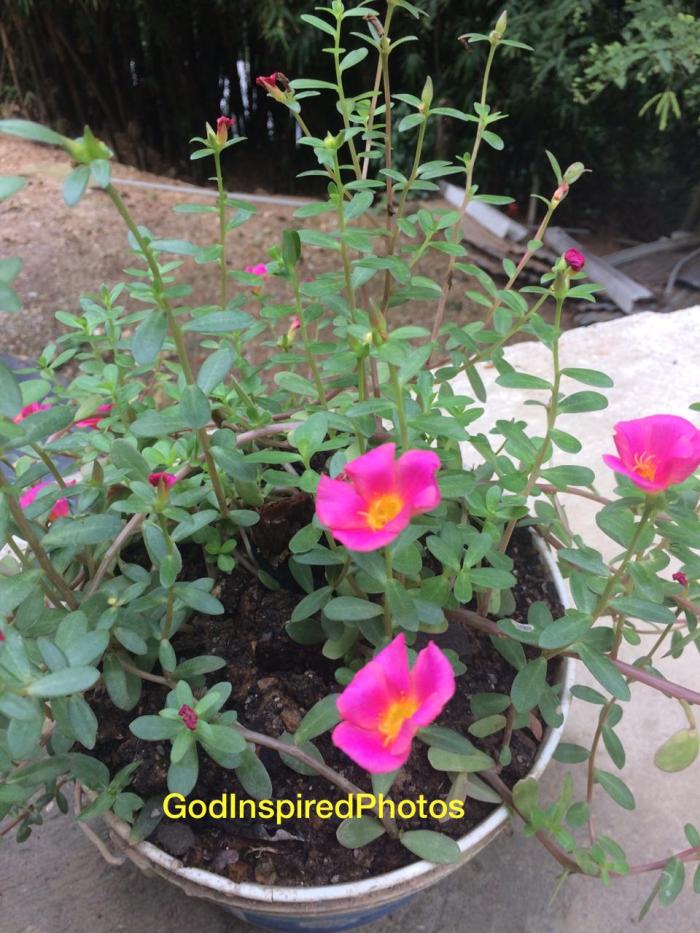 IMG-20191210-WA0017