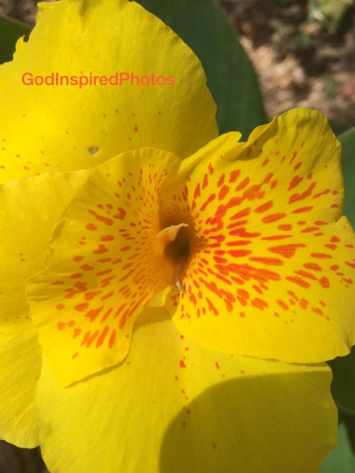 IMG-20191219-WA0005