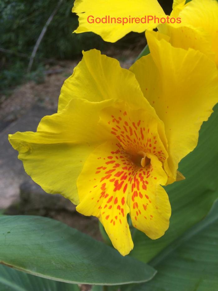 IMG-20191219-WA0009