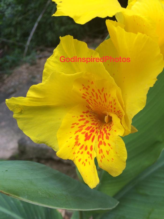 IMG-20191219-WA0010
