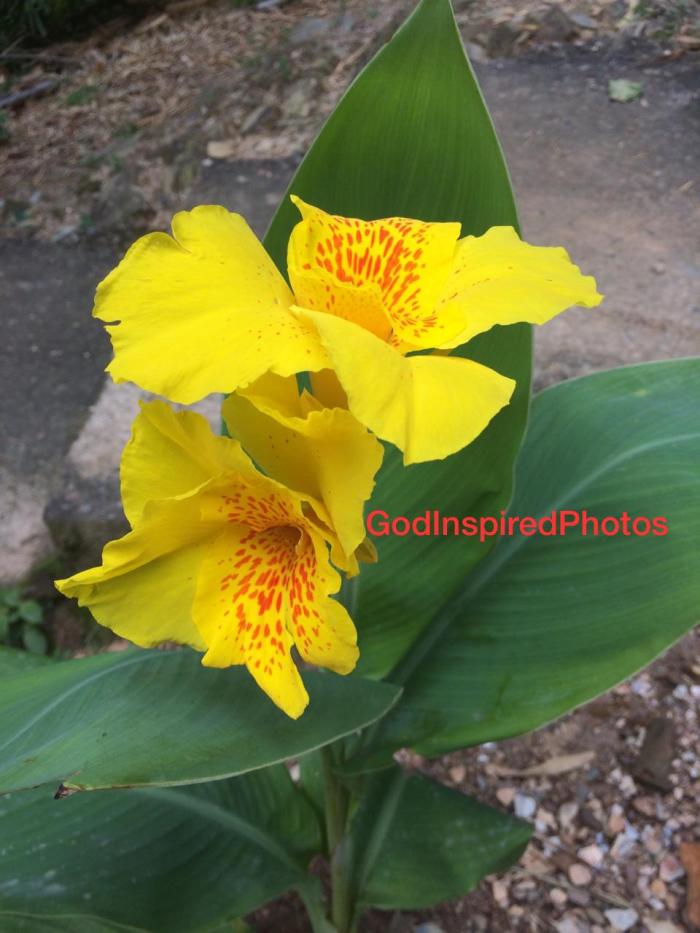 IMG-20191219-WA0011