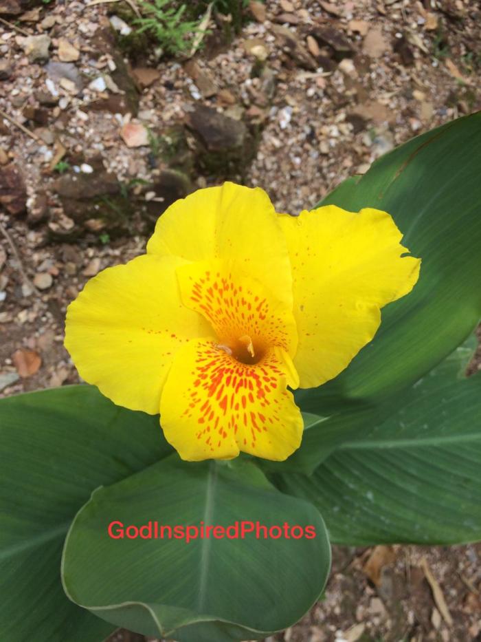IMG-20191219-WA0012