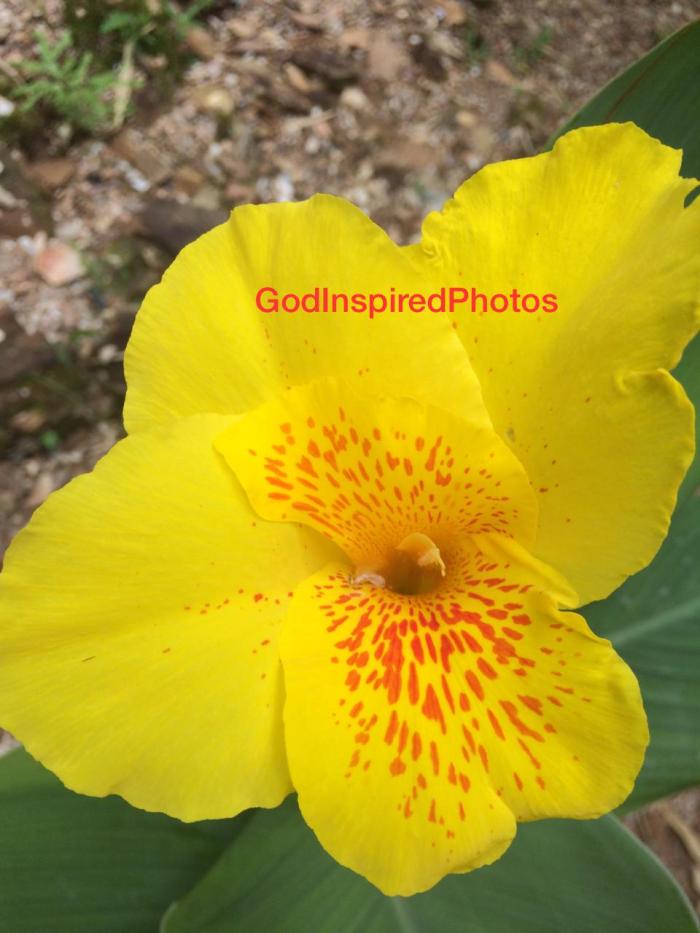 IMG-20191219-WA0013