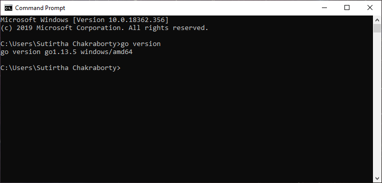 Check Go Installation